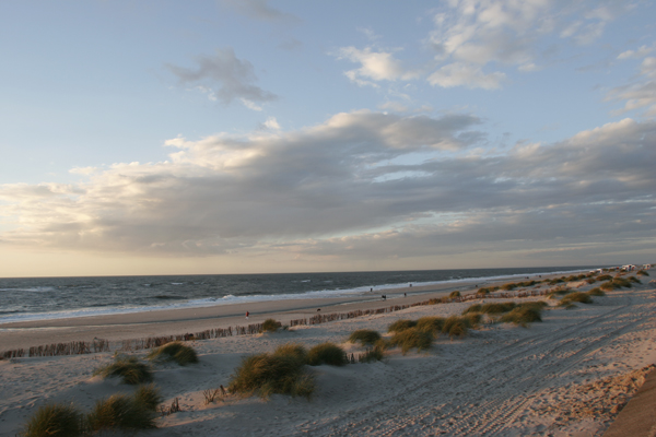 sylt04_evening light Evening light