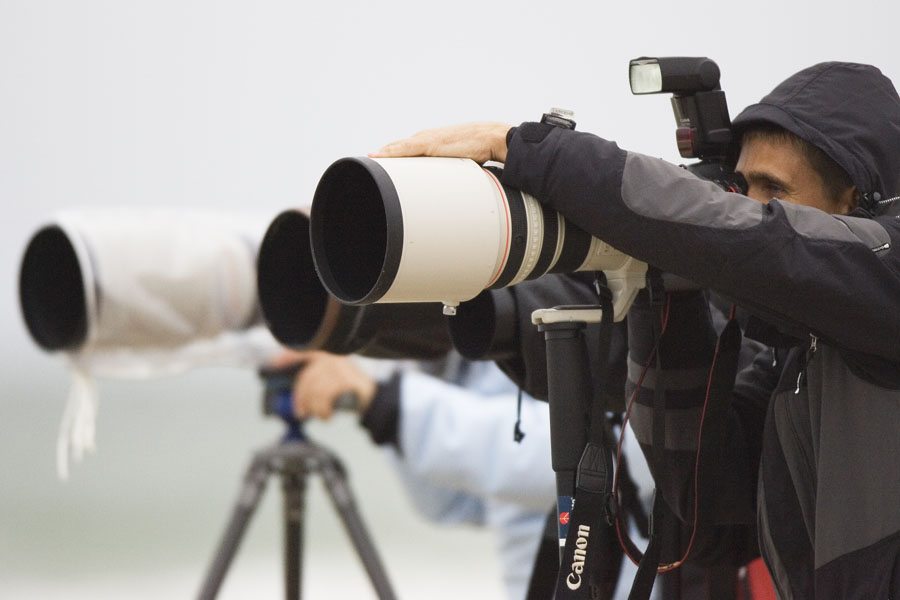 S07 ls The paparazzi line up The paperazzi line up