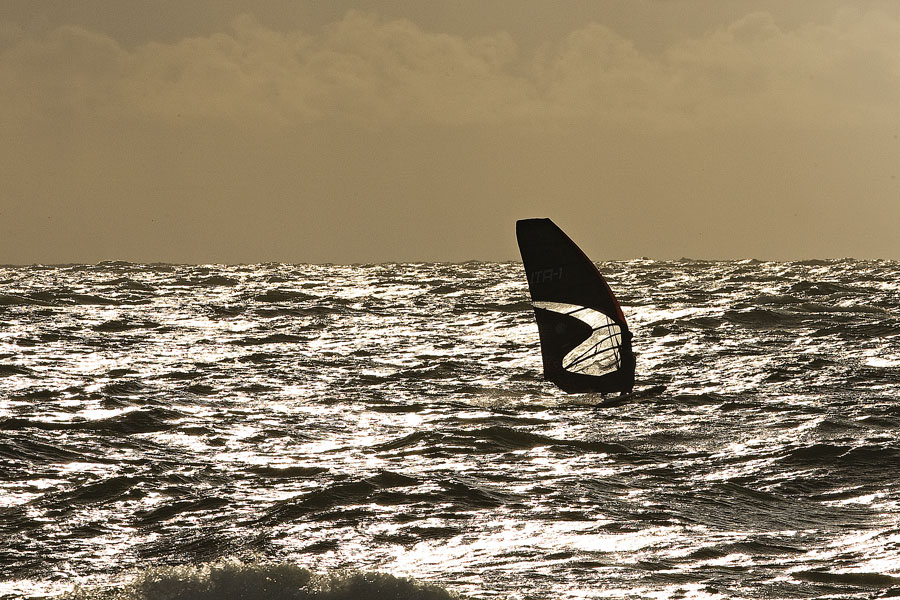 S08 sl Andrea Cucchi Andrea Cucchi