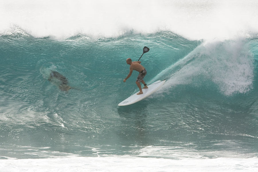 CV08 wv McKercher stand up paddle Mckercher stand up paddle