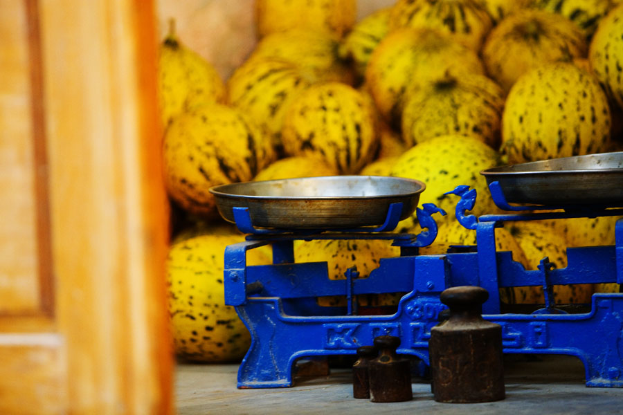 T09 ls Melons Melons