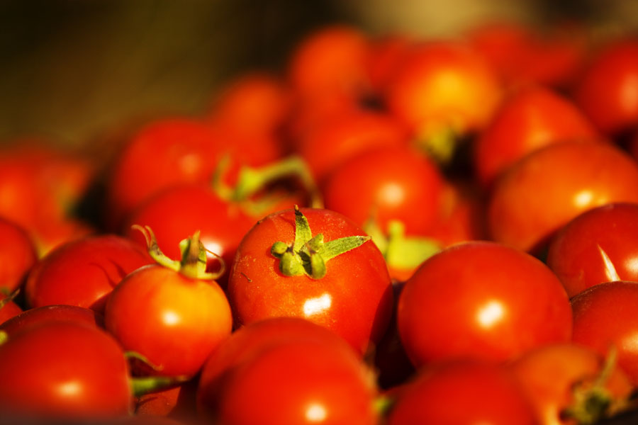 T09 ls Tomatoes Tomatoes