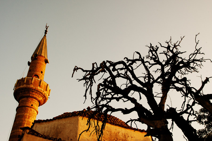 T10 ls Mosque Mosque