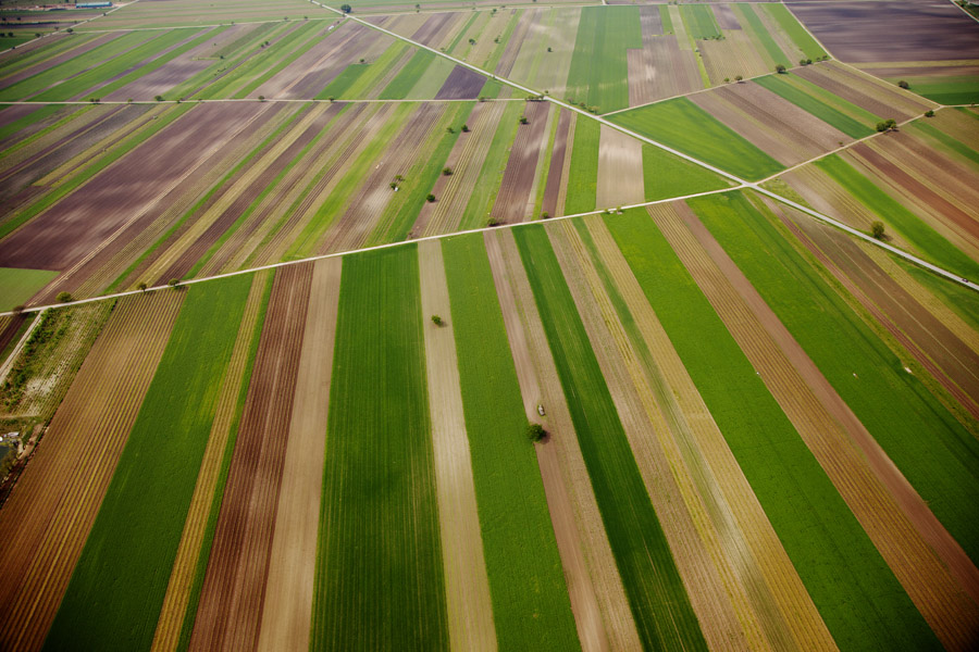 A11 ls Fields Fields