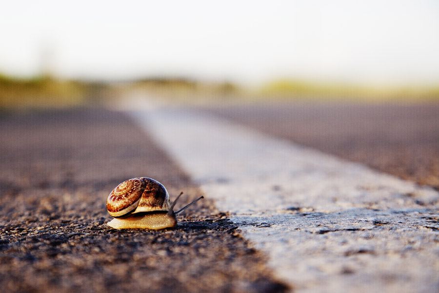 CB10 ls Risky move Risky move