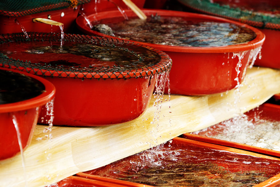 K10 ls Local seafood Local seafood