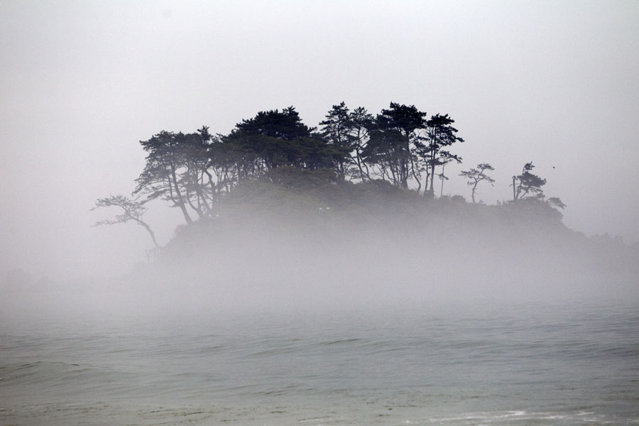 K10 ls Fog at Jinha Fog at Jinha