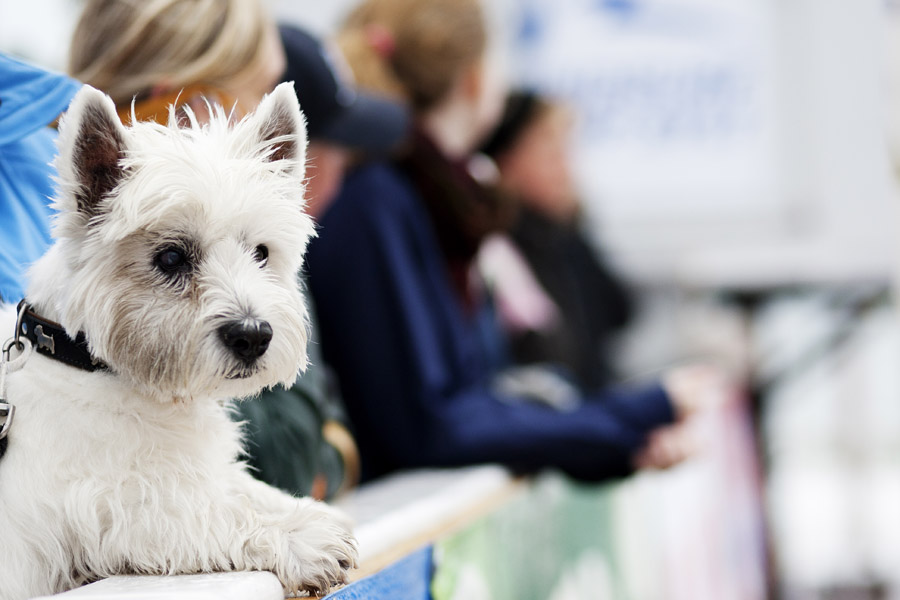 S10 ls Checking the action Checking the action