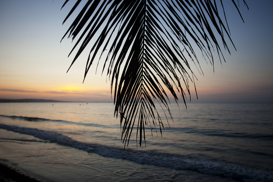 V11 ls Daybreak Daybreak