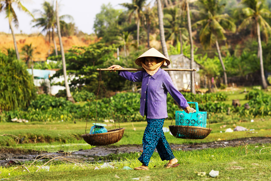 V11 ls All in the balance All in the balance