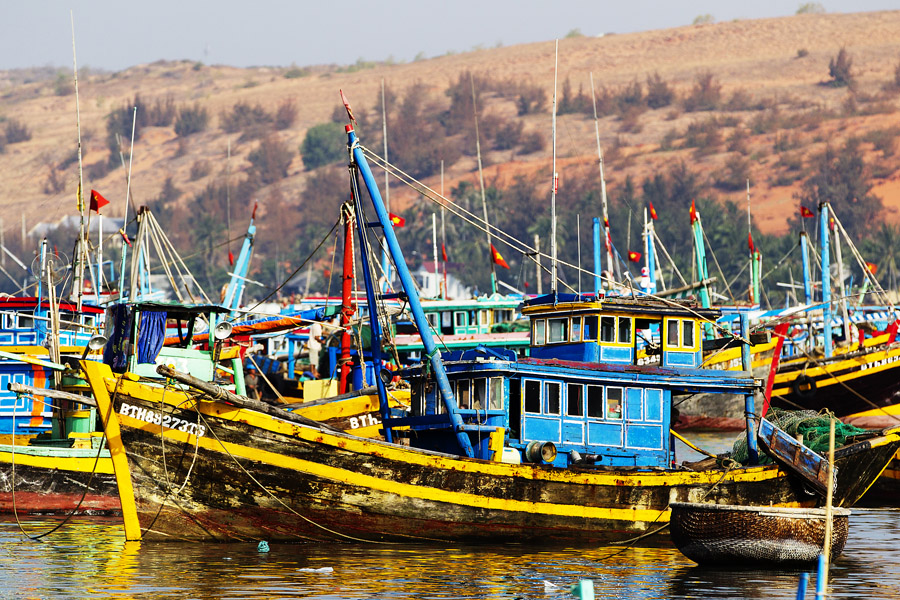 V11 ls Fishing fleet Fishing fleet