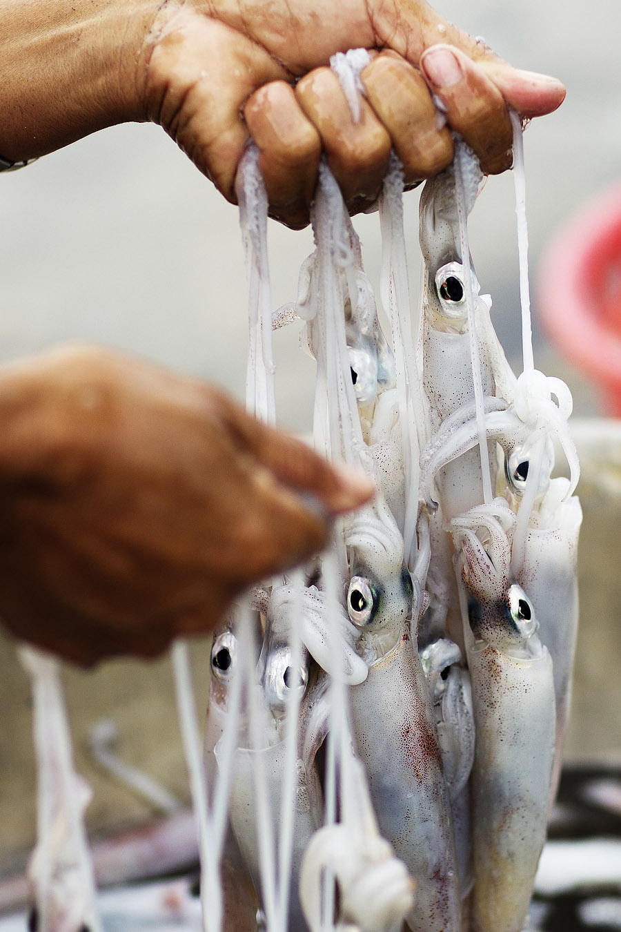 V11 ls Hung up Hung up