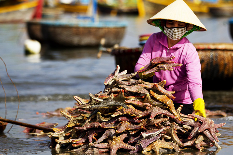 V11 ls Lucky star Lucky star