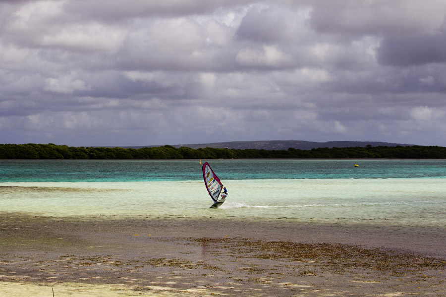 B11 fs Andy Chambers Andy Chambers