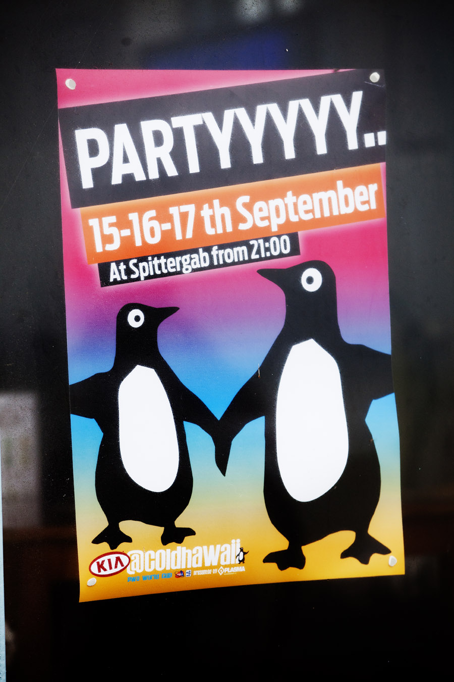 KM11 ls The party is on tonight! The party is on tonight!