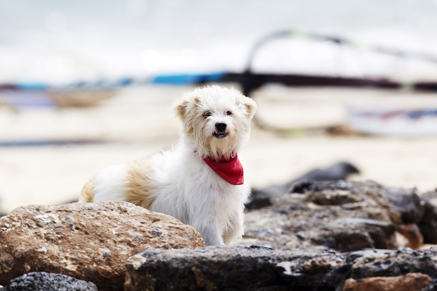 L11 ls Checking the action Checking the action