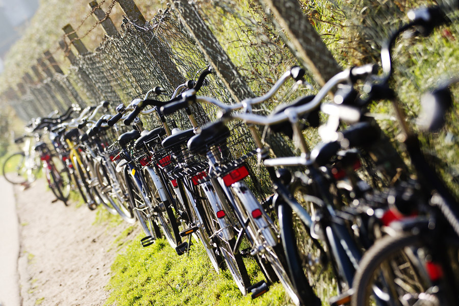 Sylt transport