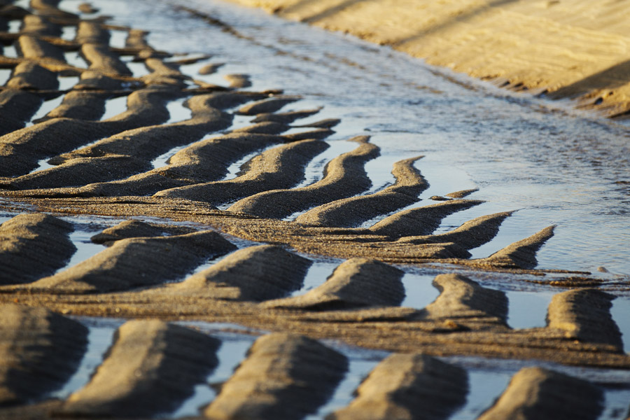 Morning sand