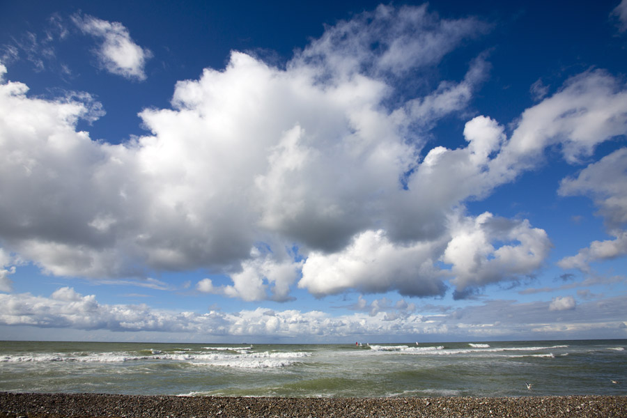 D12 ls Afternoon session Afternoon session