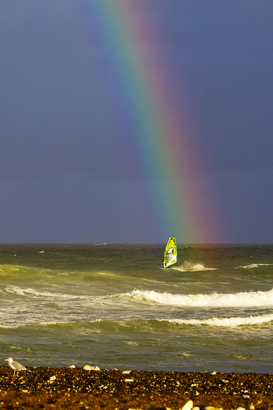 D12 wv Kauli Seadi Kauli Seadi