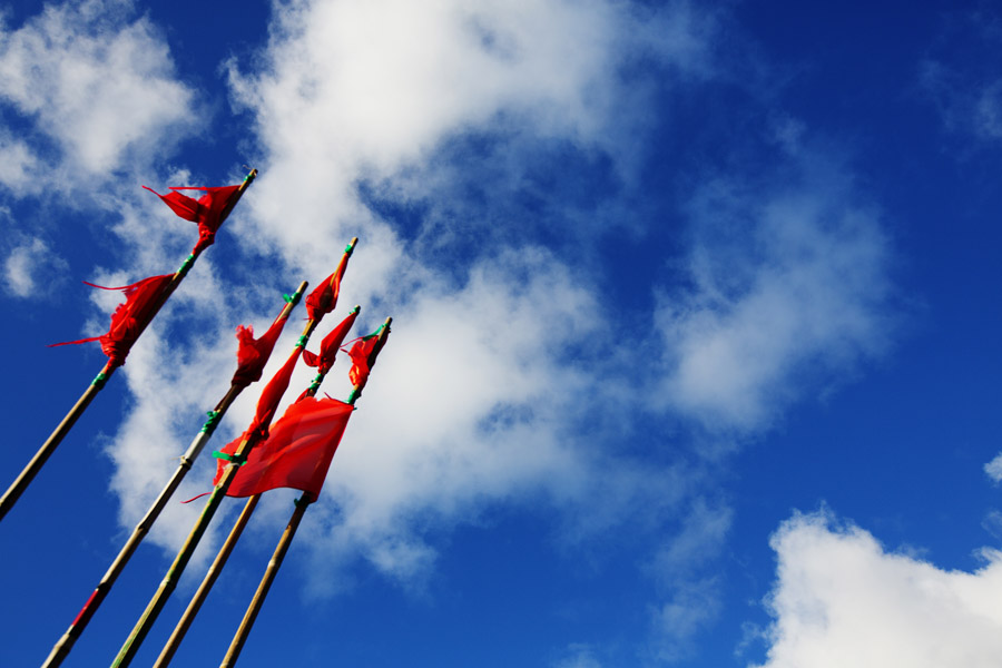 D12 ls Fishing flags Fishing flags