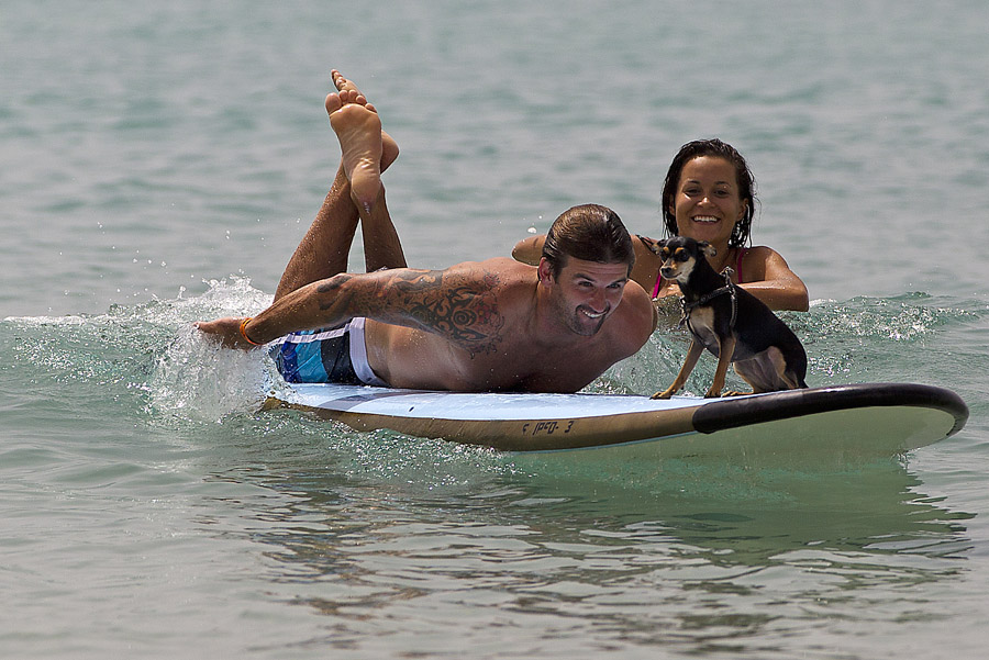 F12 ls Ross Williams Ross Williams