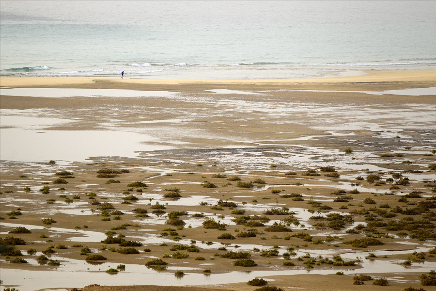 F12 ls Sotevento Sotevento