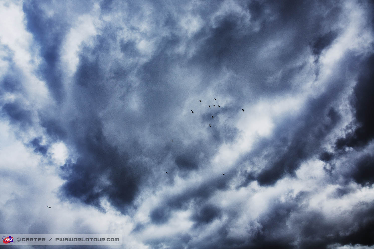 D13 ls Fly over! Fly over!