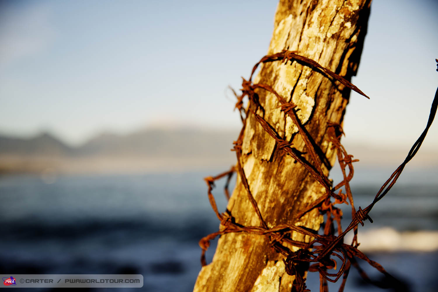 JPM ls Barbed Barbed