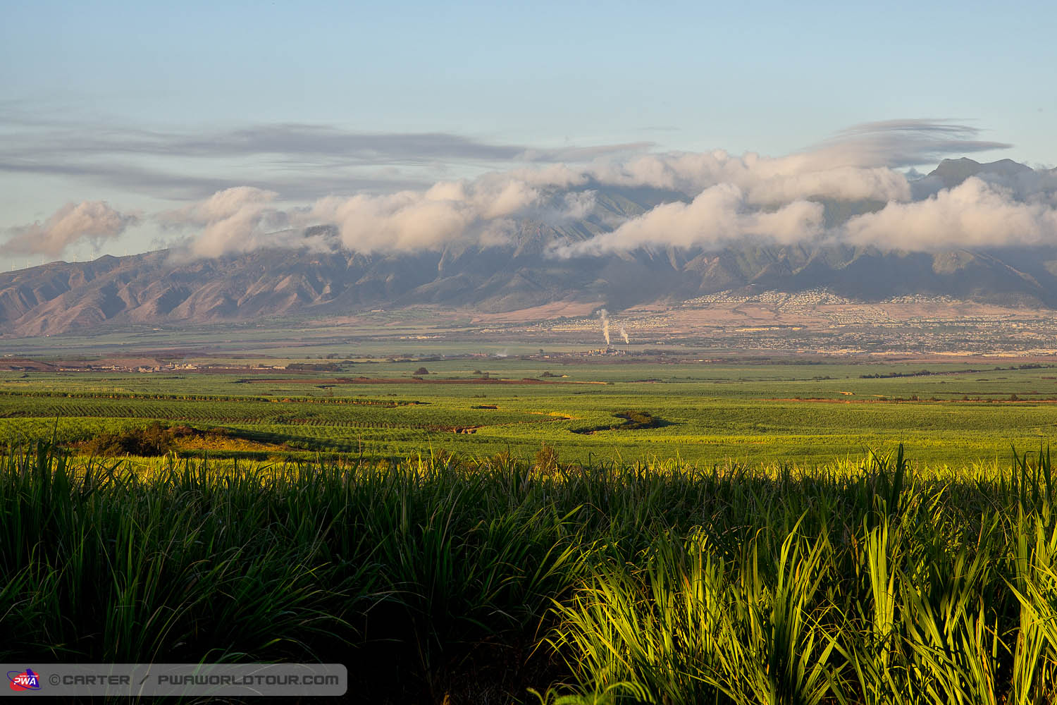 JPM ls The West Maui's The West Maui's