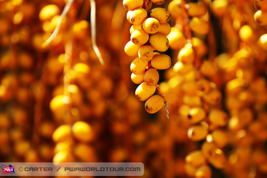 T13 ls Orange Orange