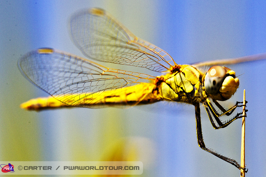 TY13 ls Clinging on Clinging on