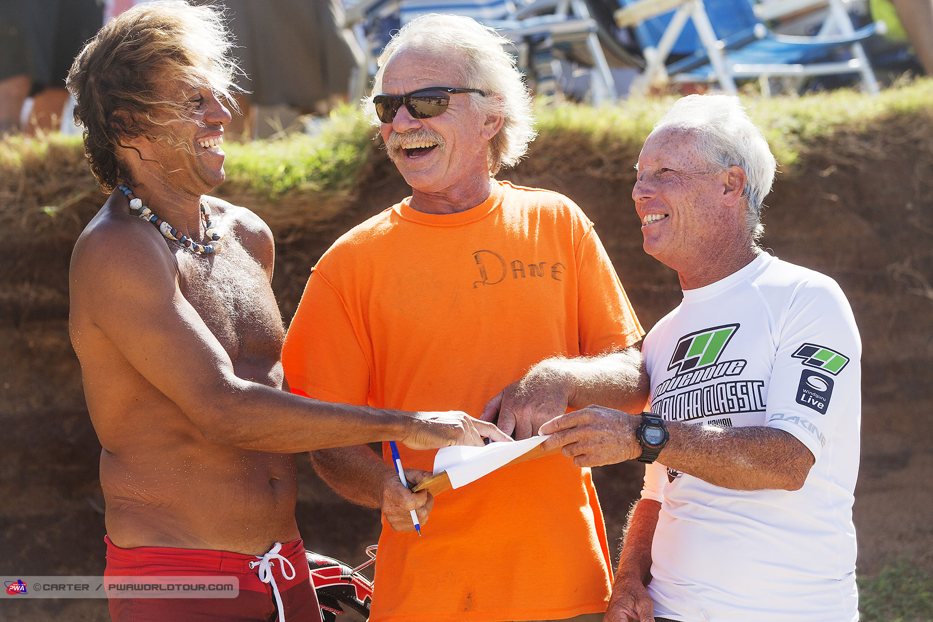 Dane the beach marshall