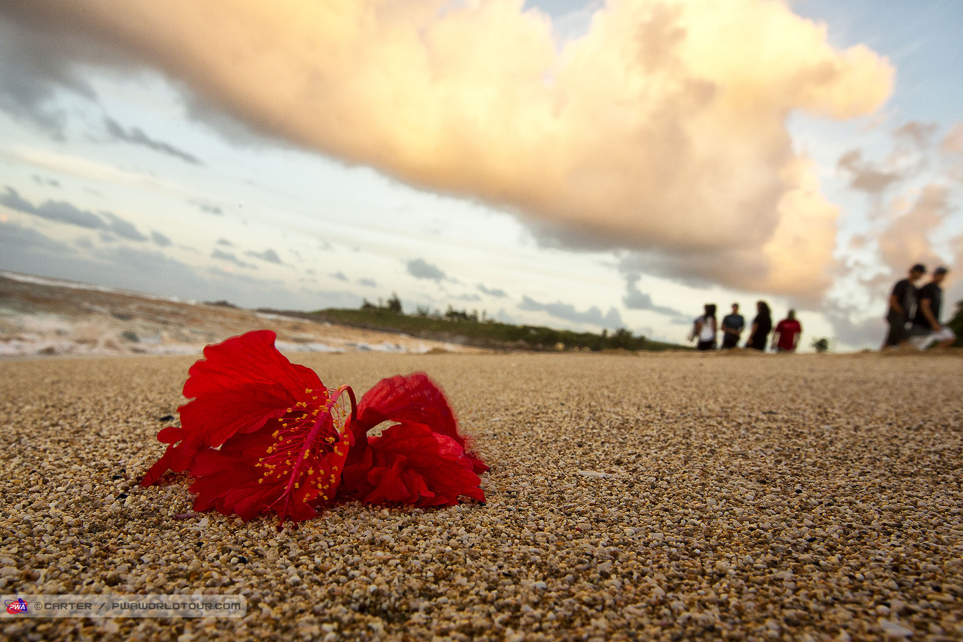 Peter Volwater tribute at Hookipa