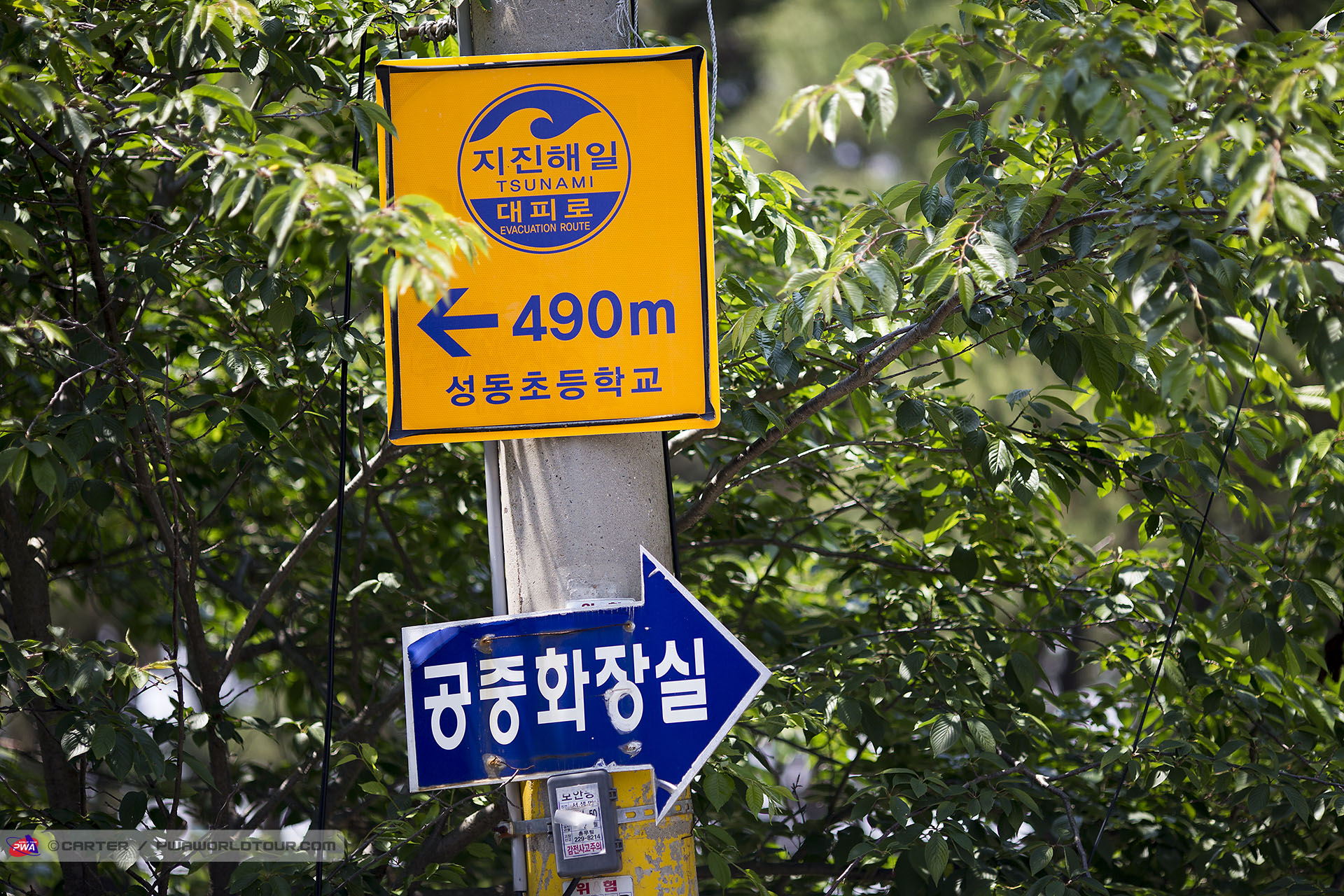 Tsunami warning sign