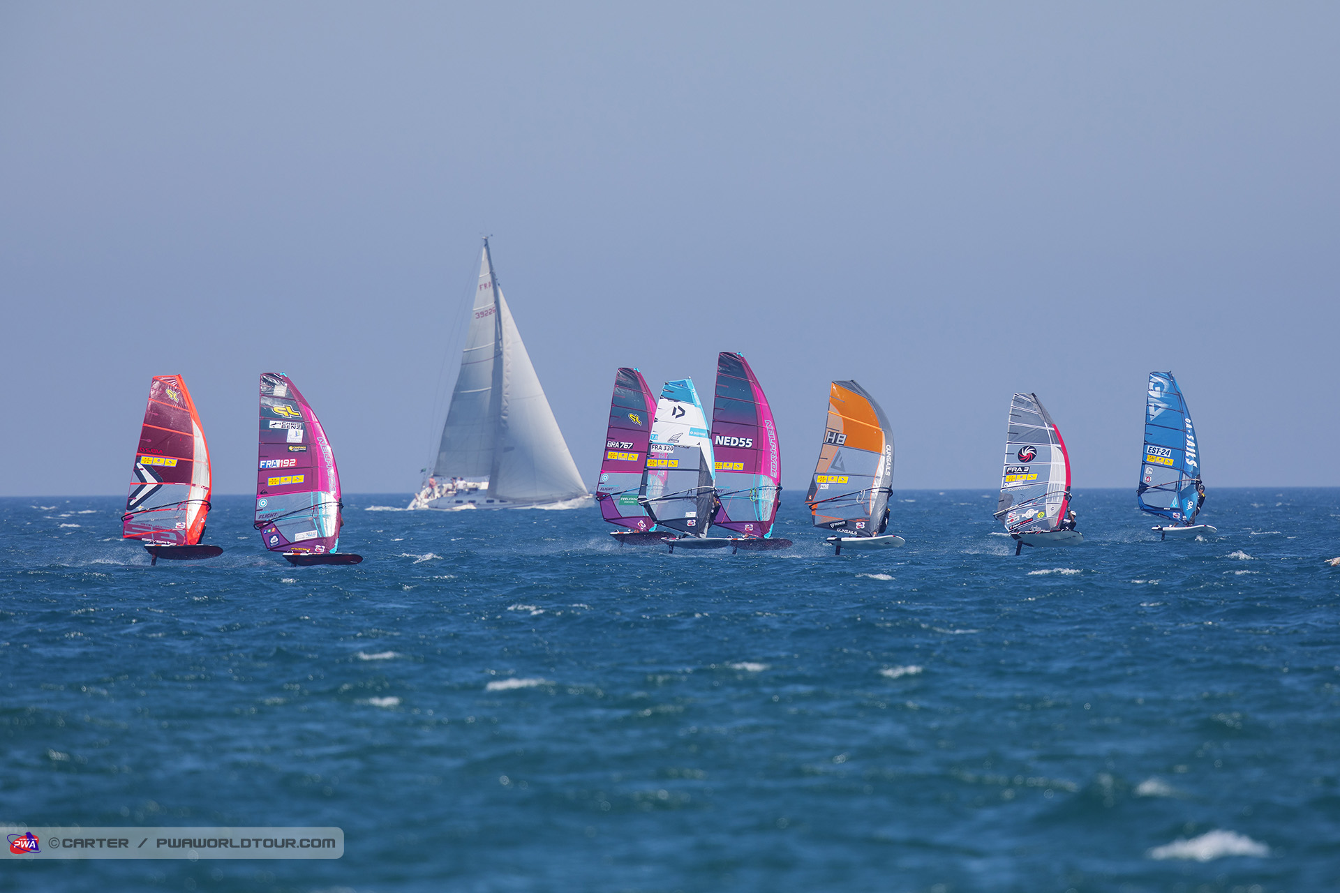 Huppert in the pack
