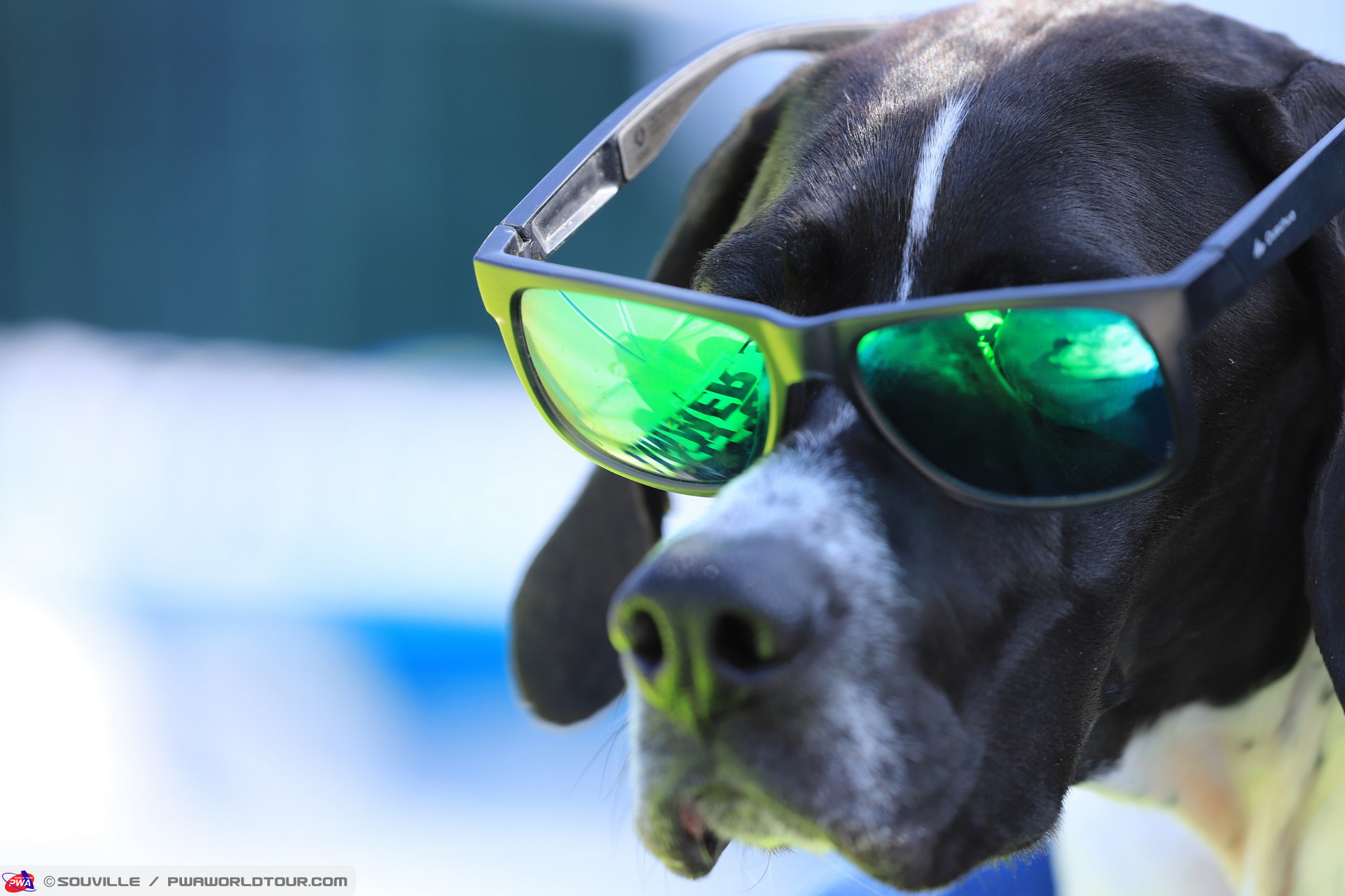 Sundog