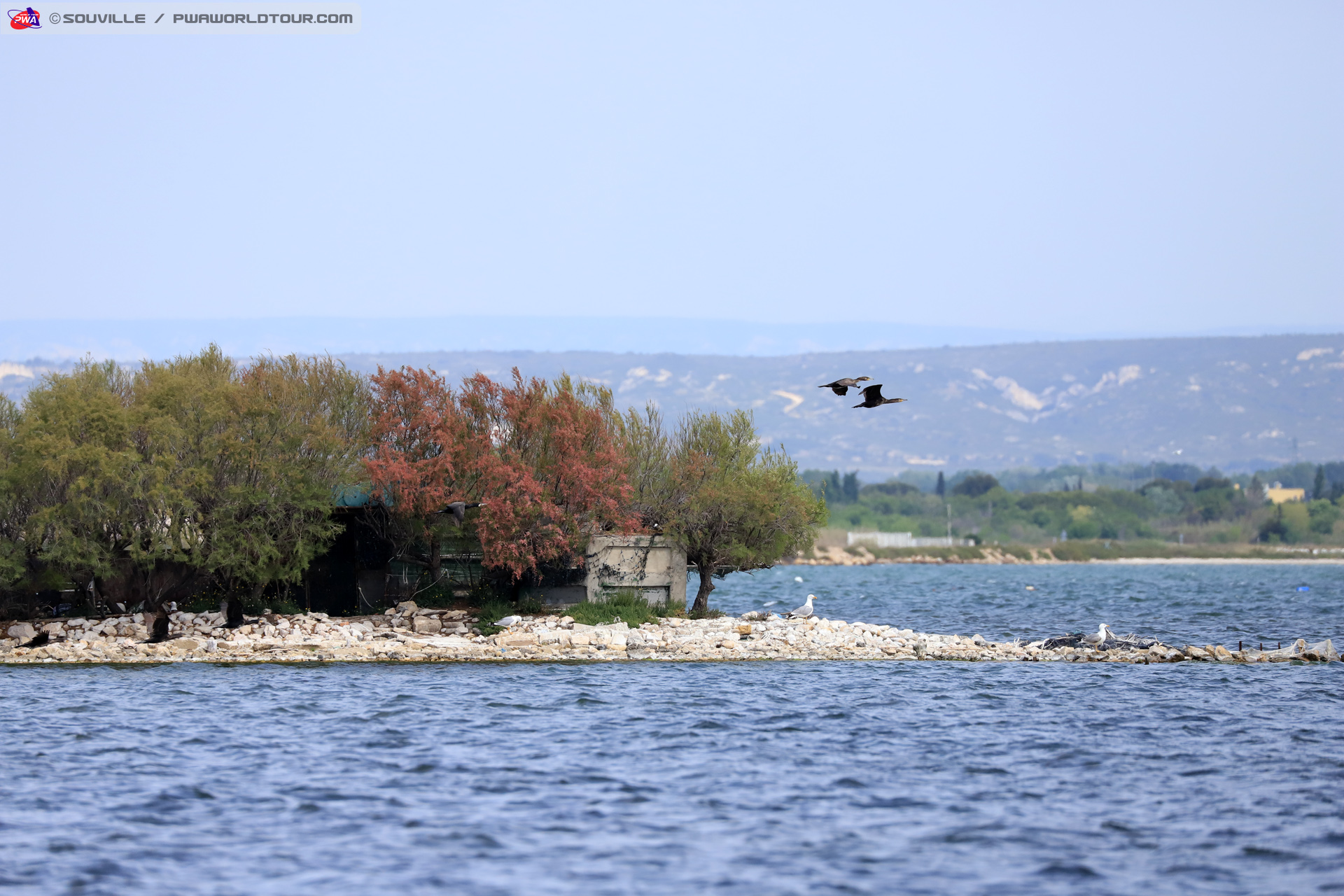 Hunter shelter birds
