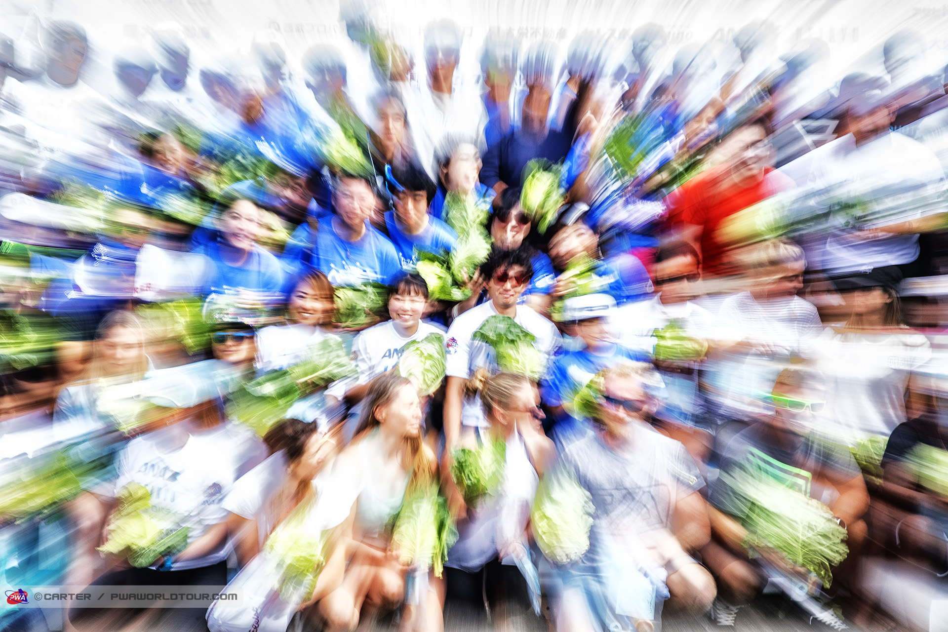 Cabbage zoom