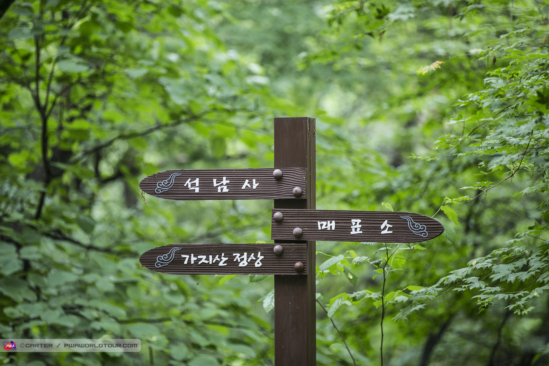 Temple this way