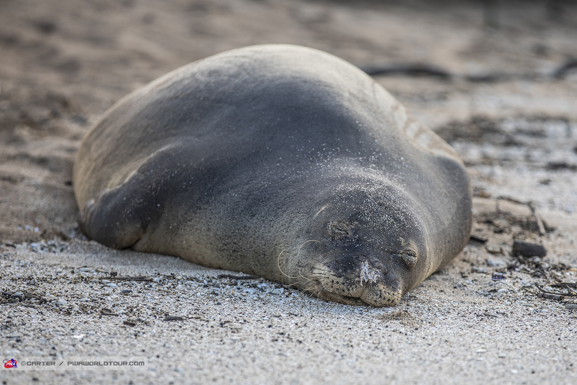 Time for a nap