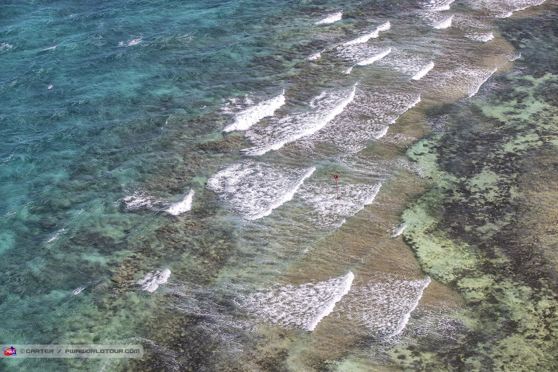 Reef