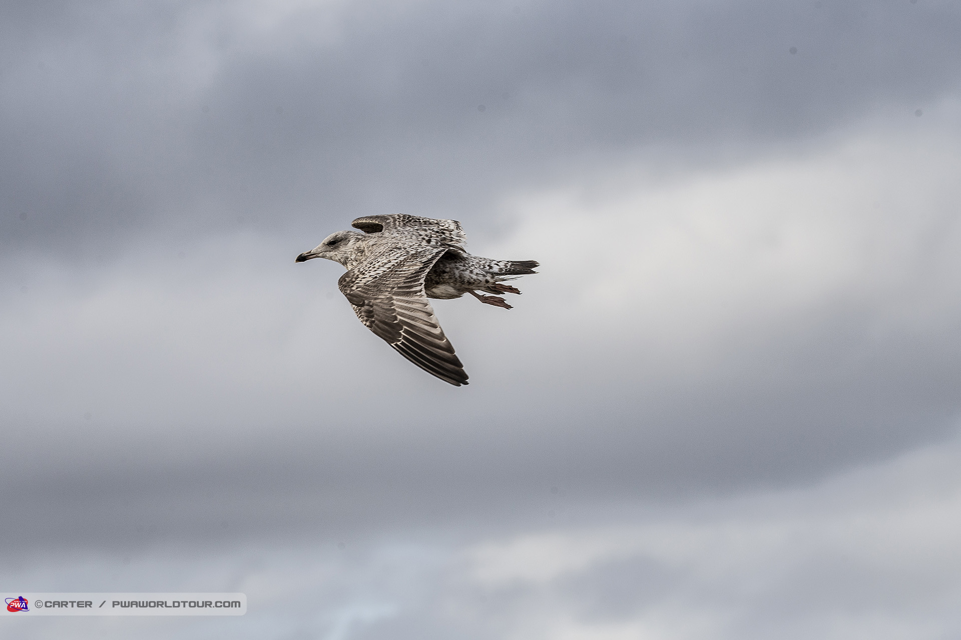 Flyby